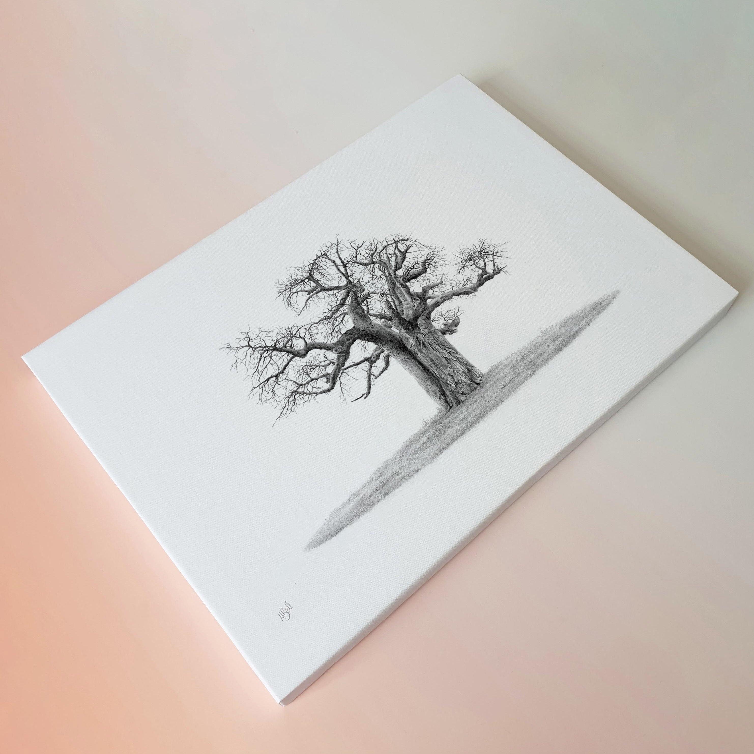 African Baobab Tree in Limpopo wildlife art print