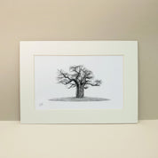 Black and white pencil artwork of an African Baobab Tree