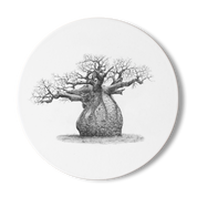 Baobab Tree Wooden Coaster - BAO4
