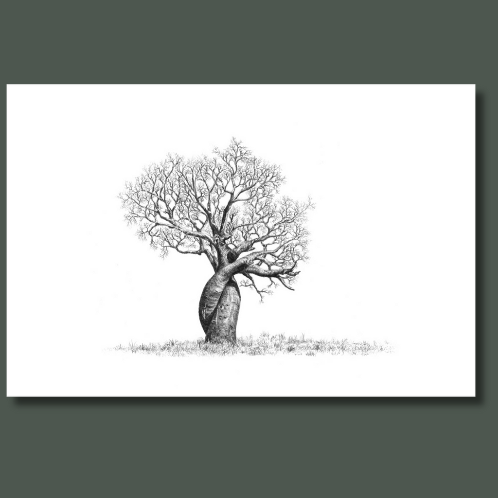 African Baobab Tree with twisted trunks on canvas art print