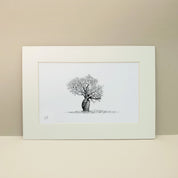 African Baobab tree with twisted trunks drawing by Matthew Bell