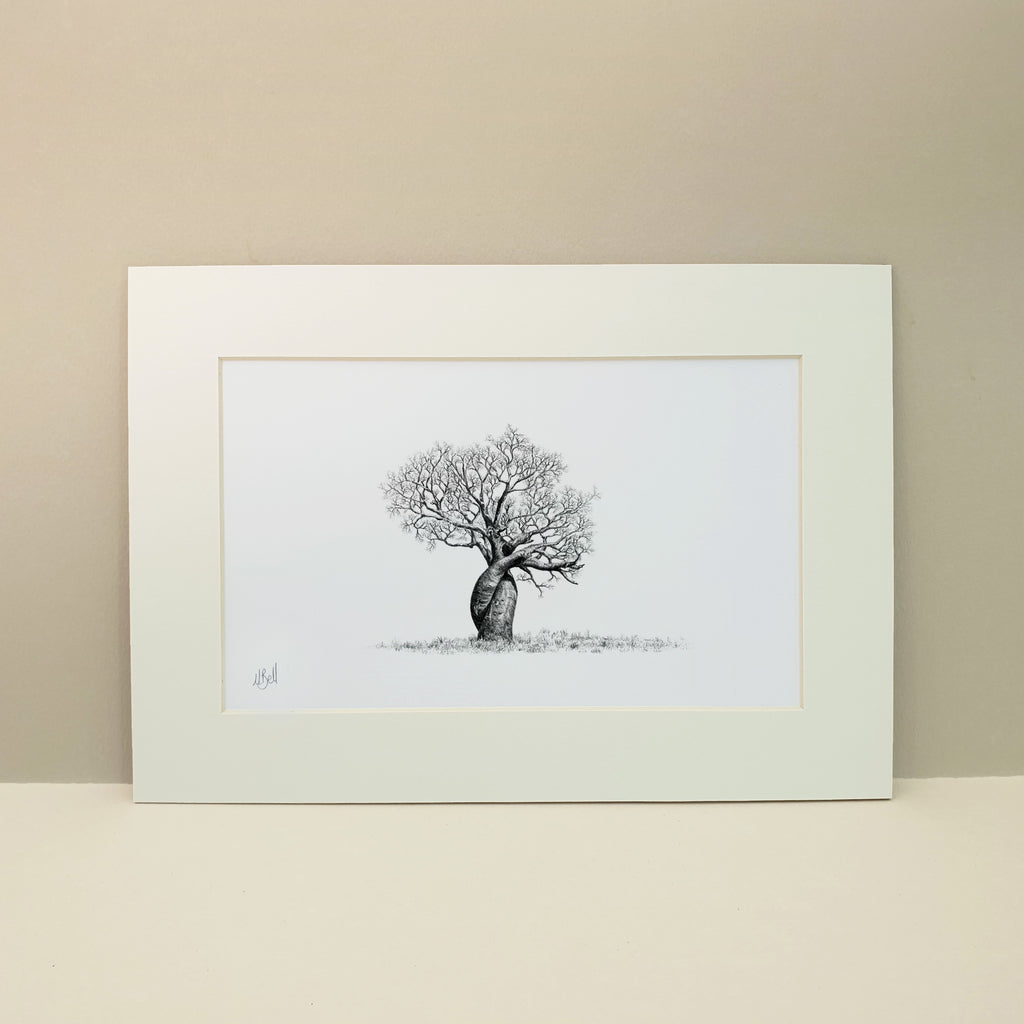 African Baobab tree with twisted trunks drawing by Matthew Bell