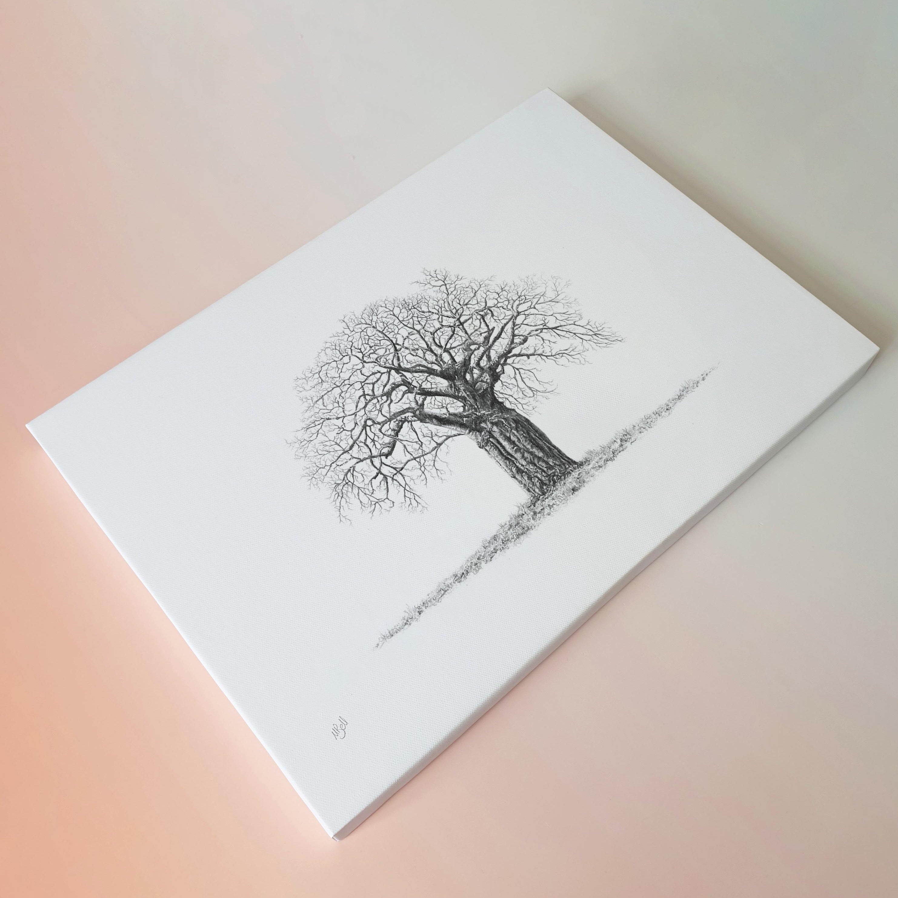 African Baobab Tree canvas art print