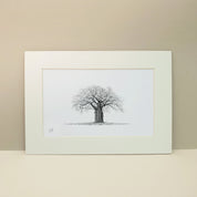 African Baobab Tree pencil artwork