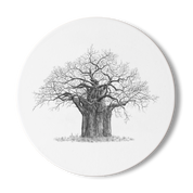 Baobab Tree Wooden Coaster - BAO7