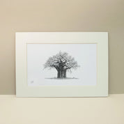 Black and white pencil artwork of an African Baobab Tree