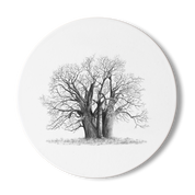 Baobab Tree Wooden Coaster - BAO8