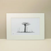 Black and white pencil artwork of an African Baobab Tree