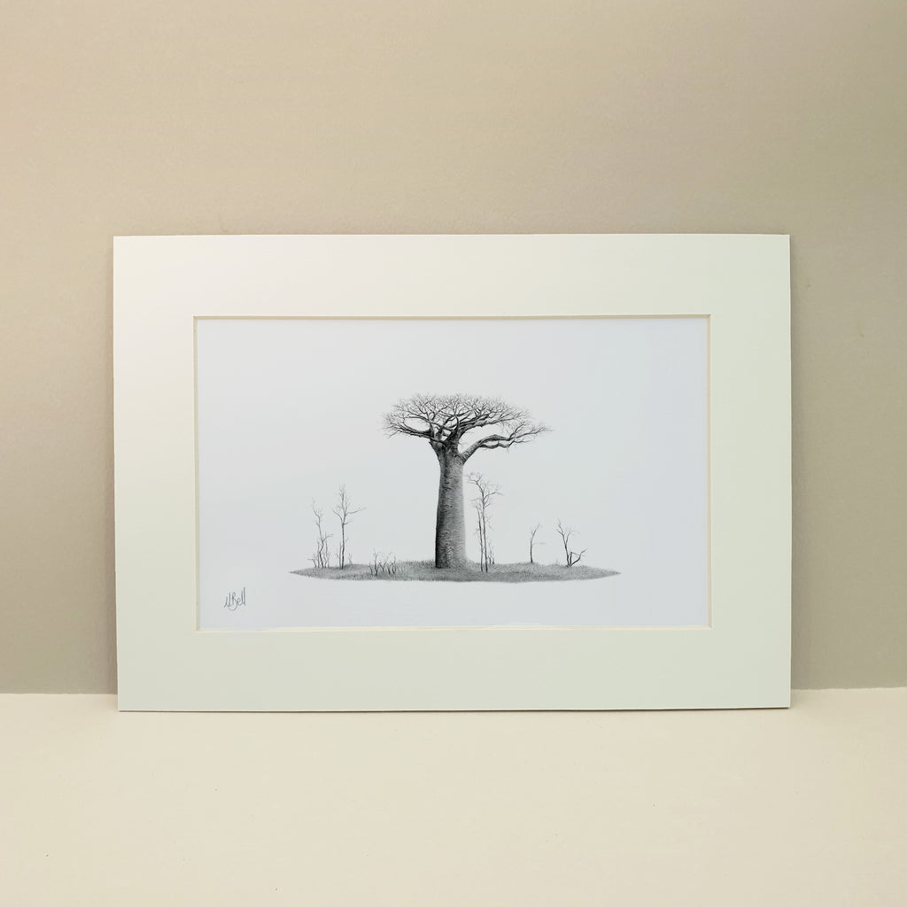 Black and white pencil artwork of an African Baobab Tree