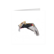 Bateleur Greeting Card - BAT2