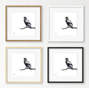 Bateleur Eagle - BAT3
