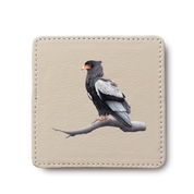 Bateleur Eagle leather coaster by South African wildlife artist Matthew Bell