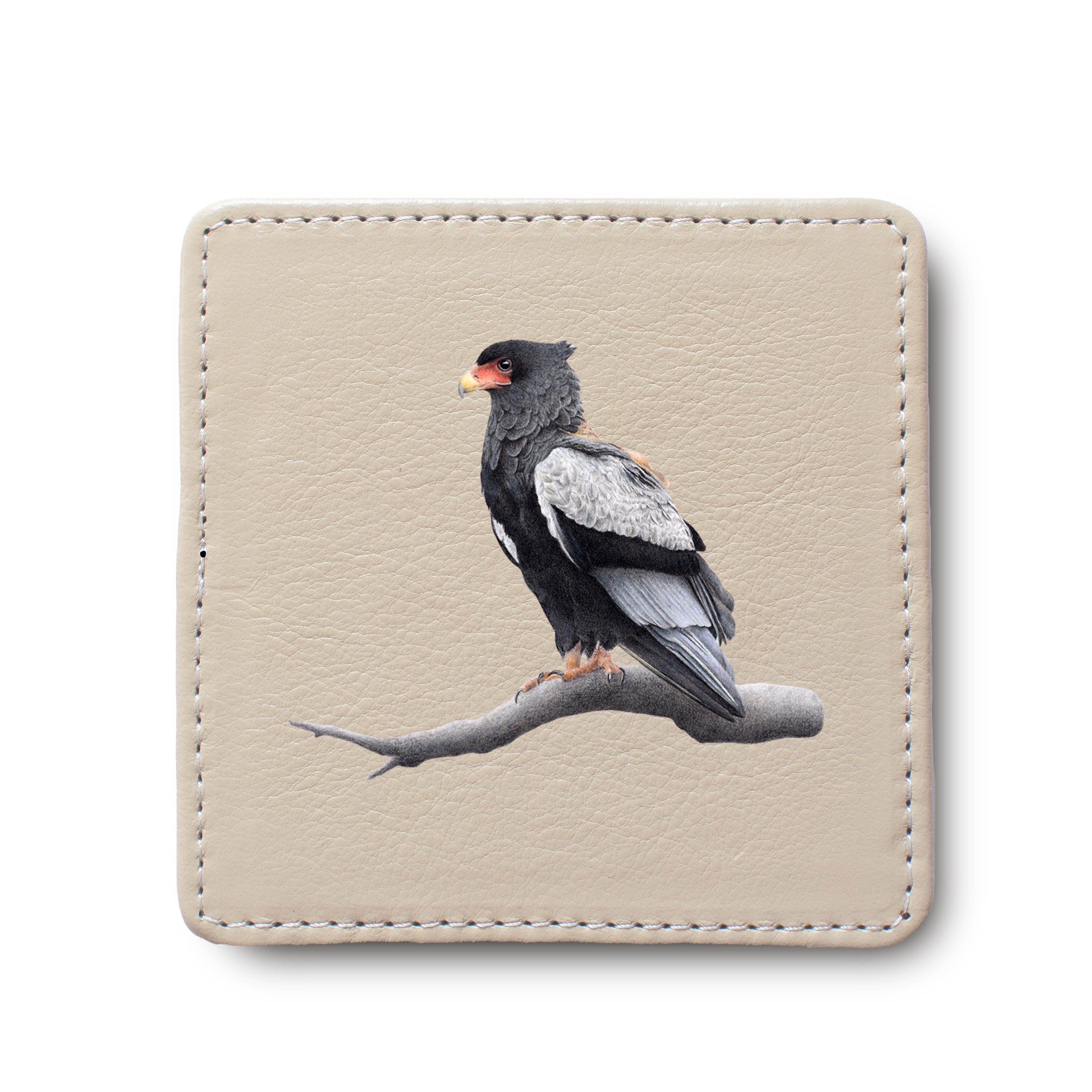 Bateleur Eagle leather coaster by South African wildlife artist Matthew Bell