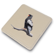 Bateleur Eagle Coaster