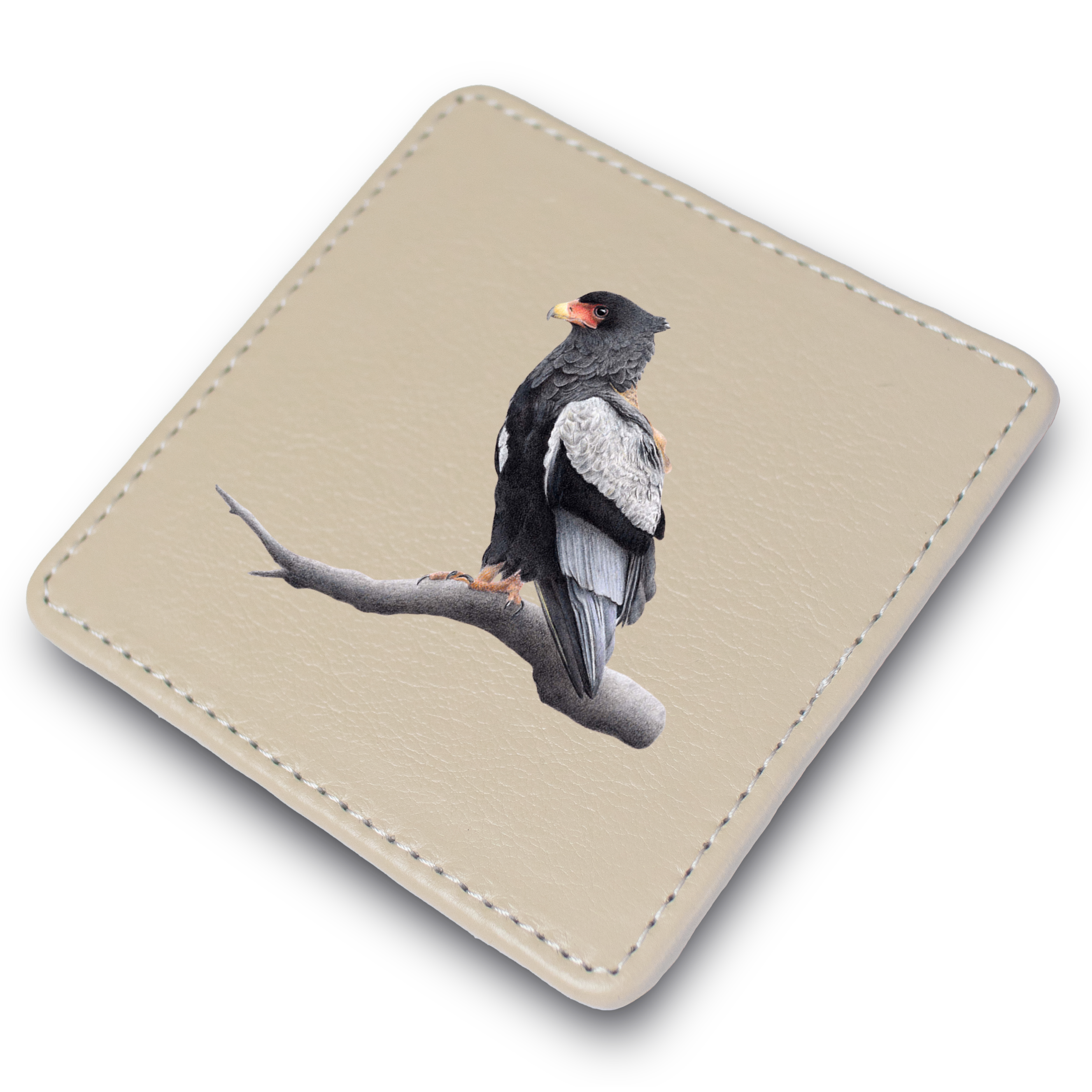 BAT_2.png