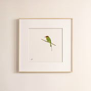 Böhm's Bee Eater - The Original