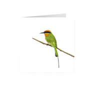 Böhms Bee Eater Greeting Card - BBE