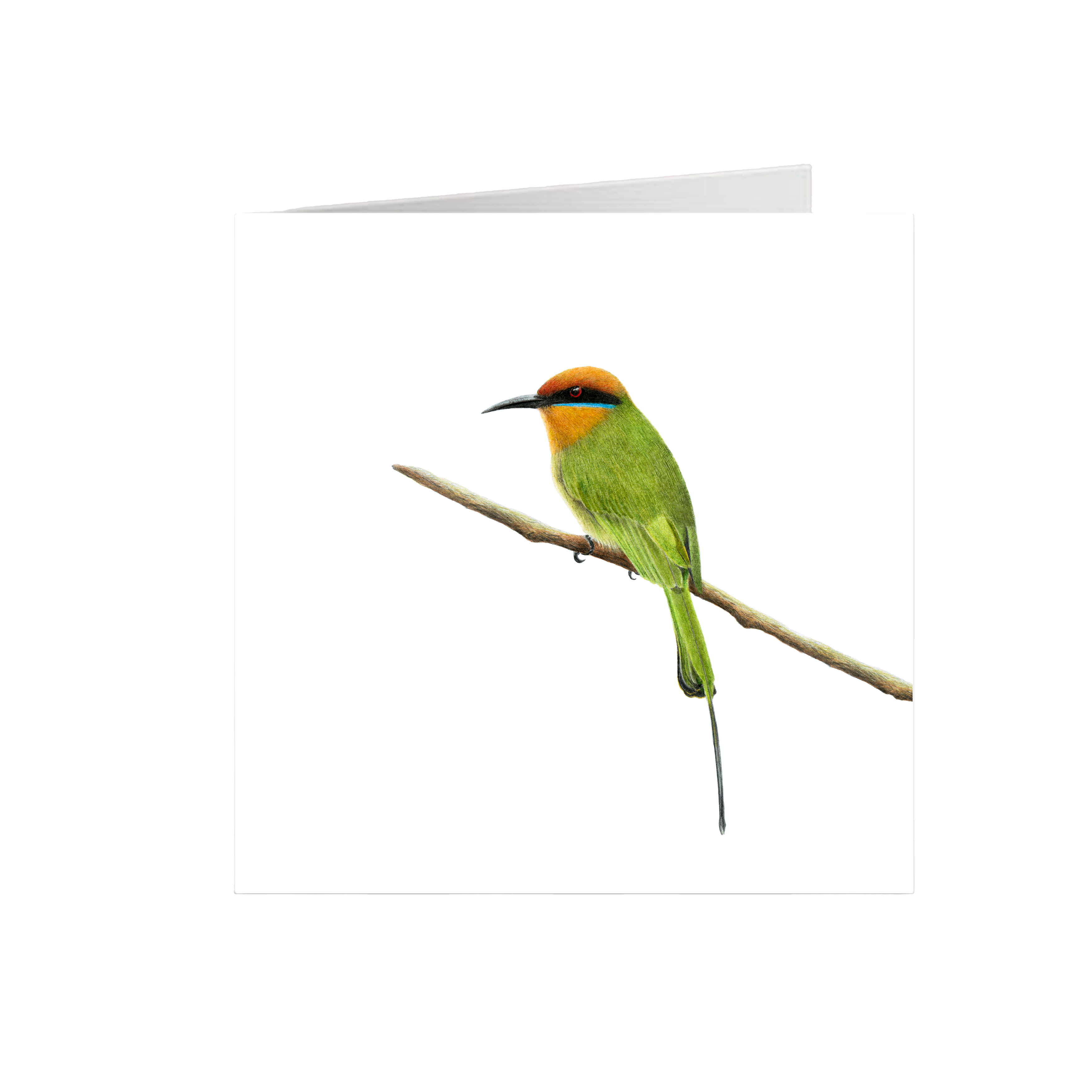 Böhms Bee Eater Greeting Card - BBE
