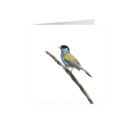 Bush Blackcap Greeting Card - BB