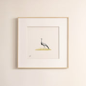 Blue Crane - The Original
