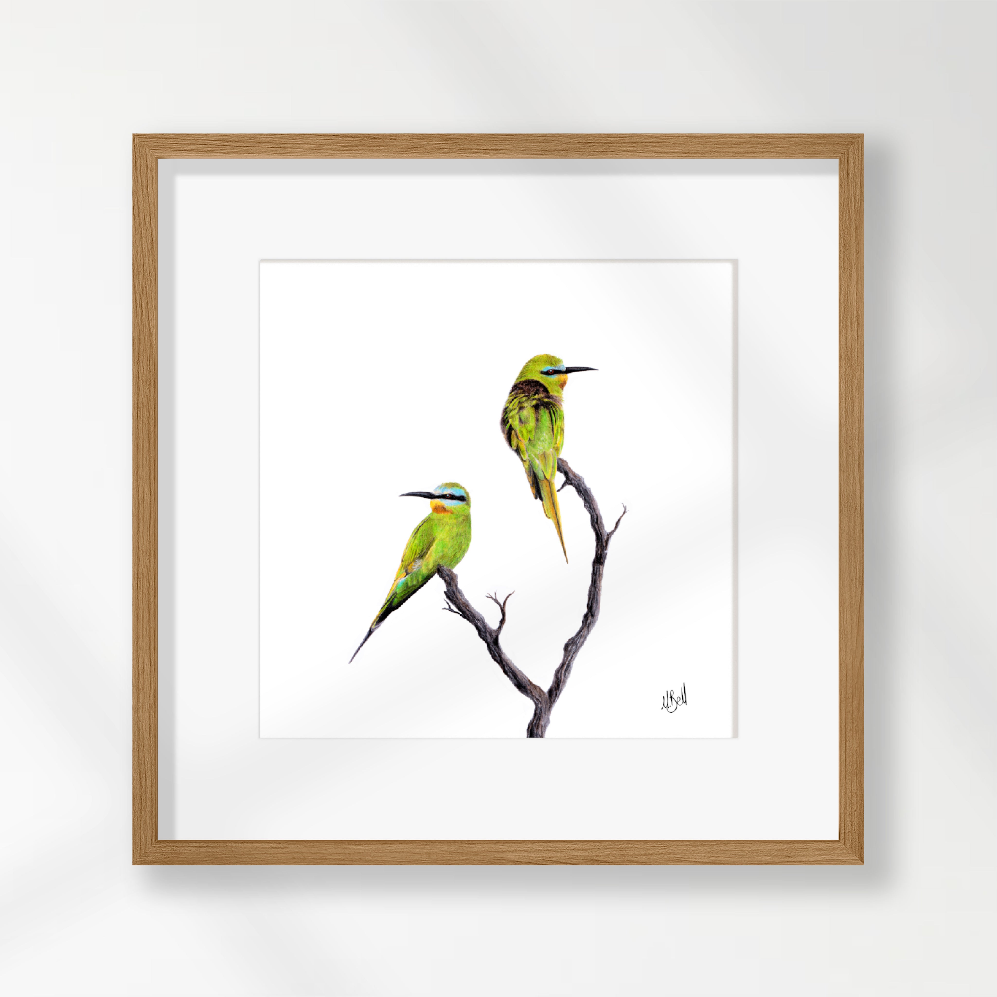 Blue Cheeked Bee Eaters - BCBE