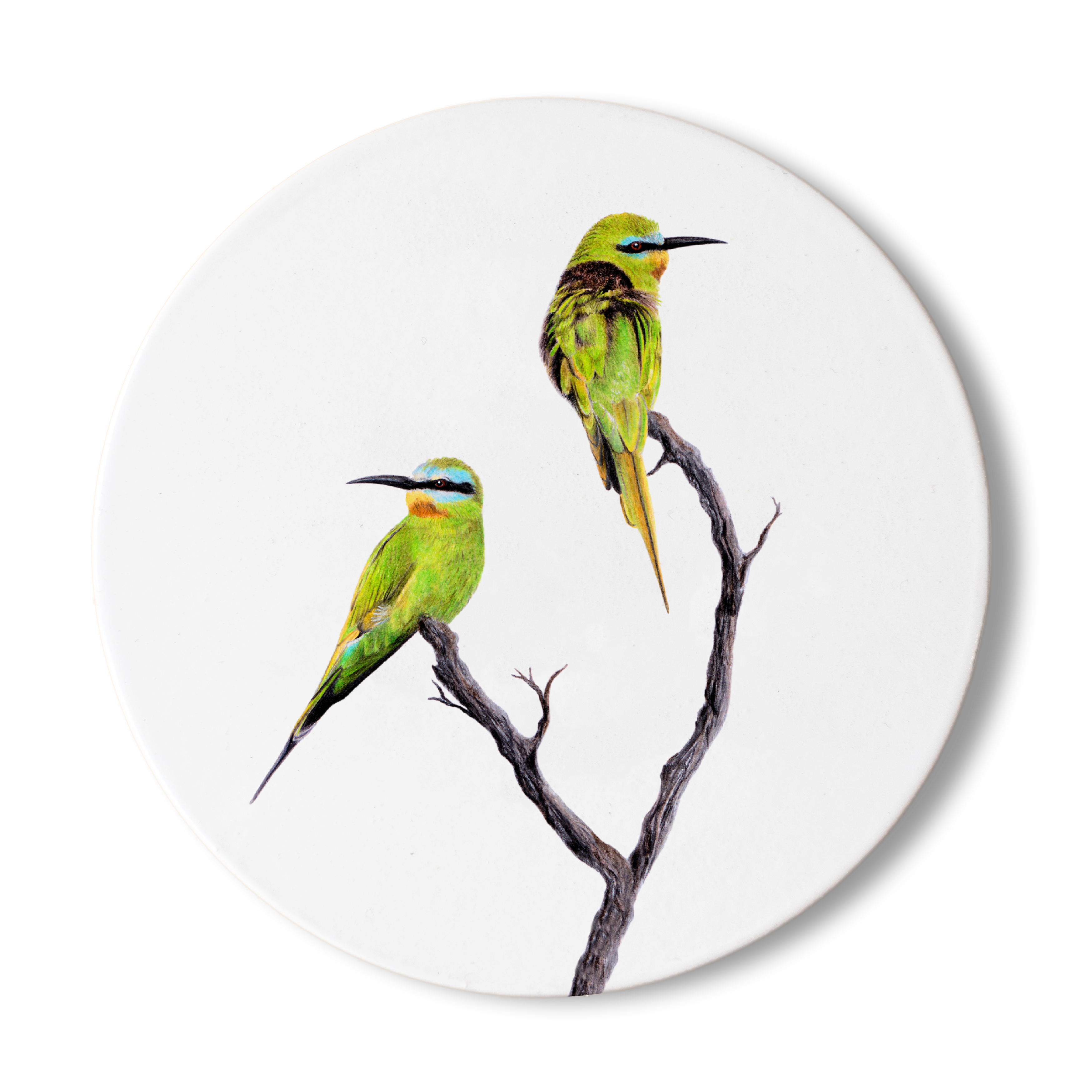 Blue Cheeked Bee Eater Wooden Coaster - BCBE