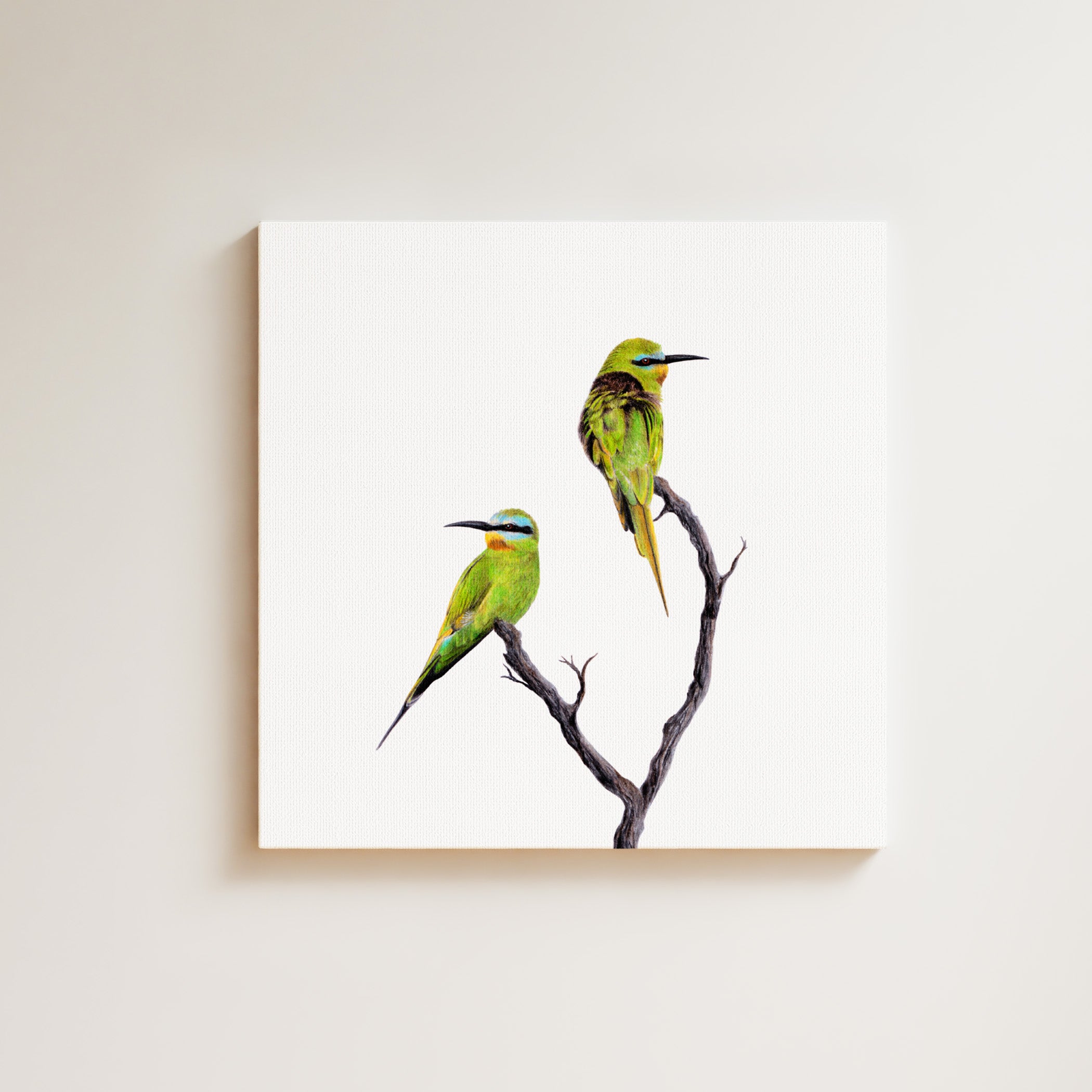 Blue Cheeked Bee Eaters drawing on canvas by South African wildlife artist Matthew Bell