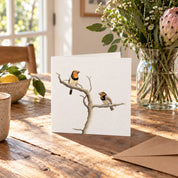 Black Collared Barbets Greeting Card - BCB