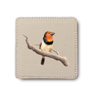 Black Collared Barbet Bird leather coaster by South African wildlife artist Matthew Bell