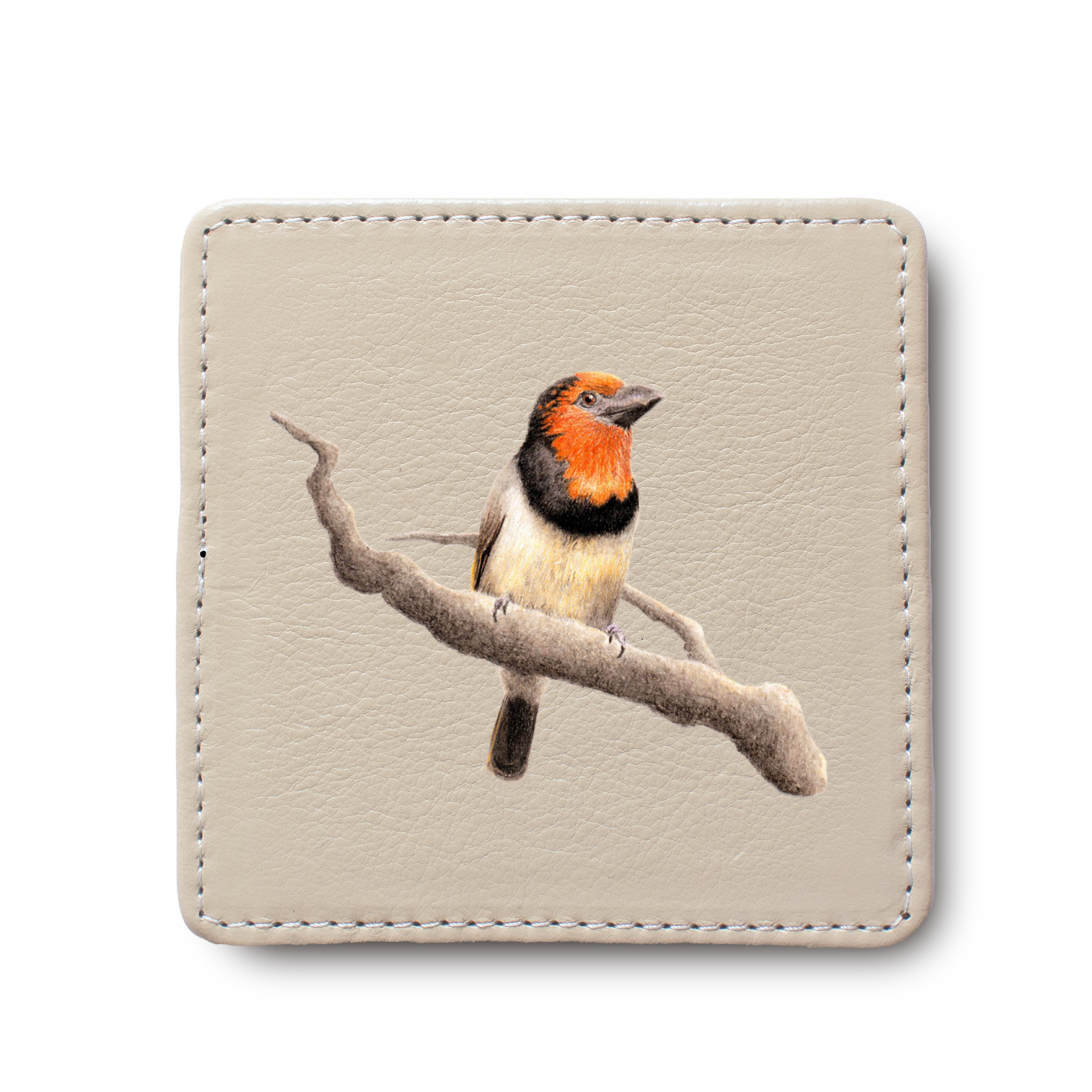 Black Collared Barbet Bird leather coaster by South African wildlife artist Matthew Bell