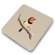 Black Collared Barbet Leather Coaster