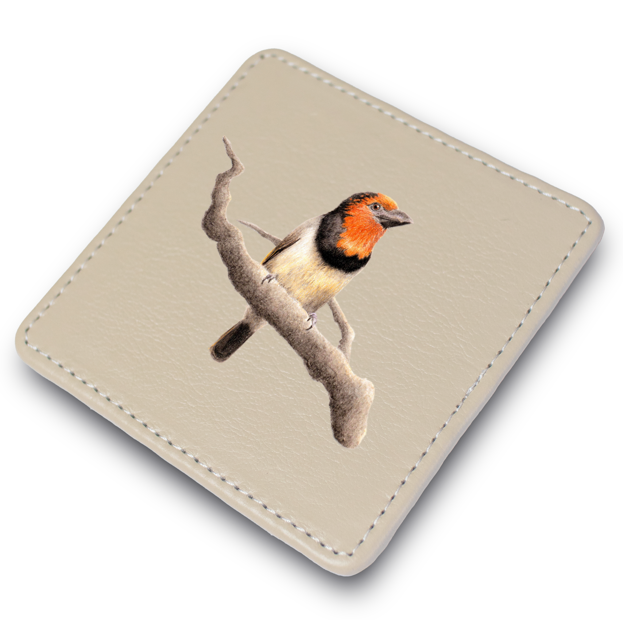 BCB_2.png