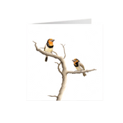 Black Collared Barbets Greeting Card - BCB