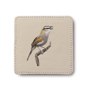 Black Crowned Tchagra Bird leather coaster by South African wildlife artist Matthew Bell