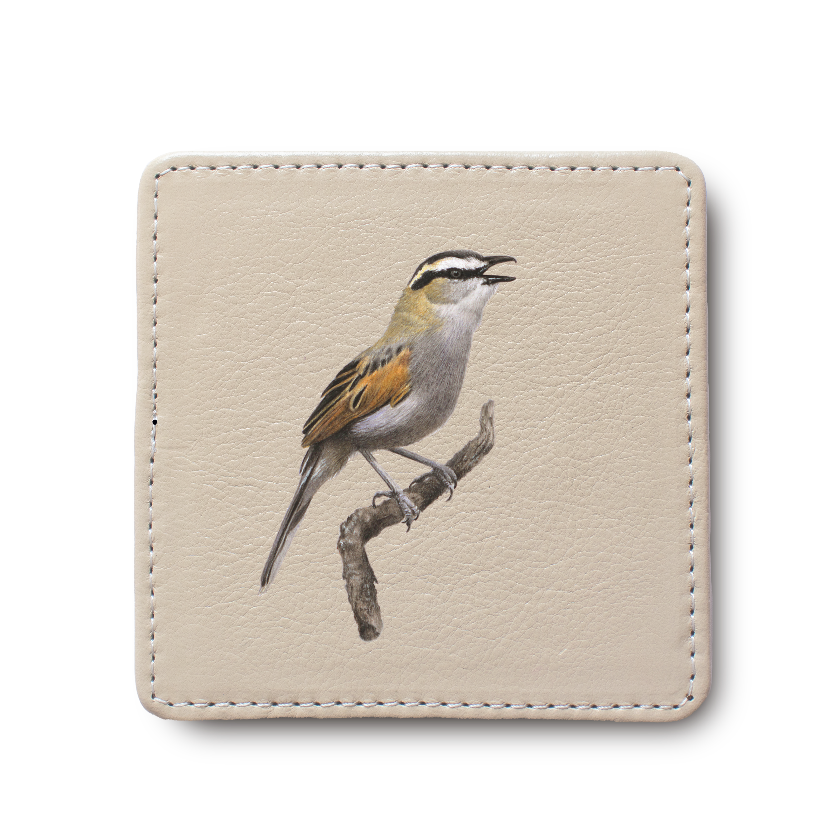 Black Crowned Tchagra Bird leather coaster by South African wildlife artist Matthew Bell