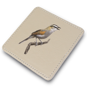 Black Crowned Tchagra Leather Coaster