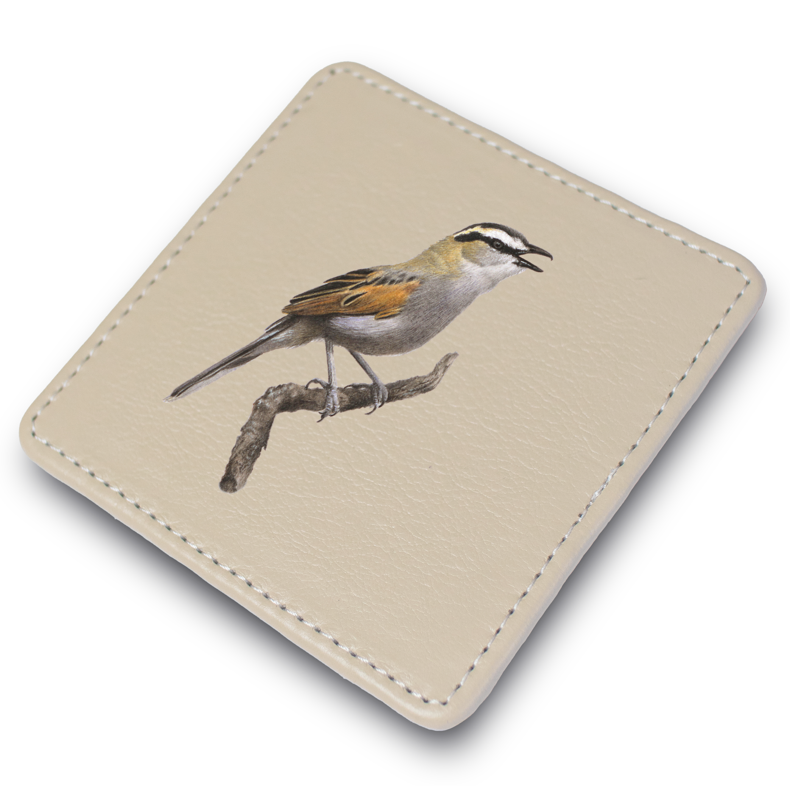 Black Crowned Tchagra Leather Coaster