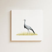 Blue Crane (BC) on Canvas