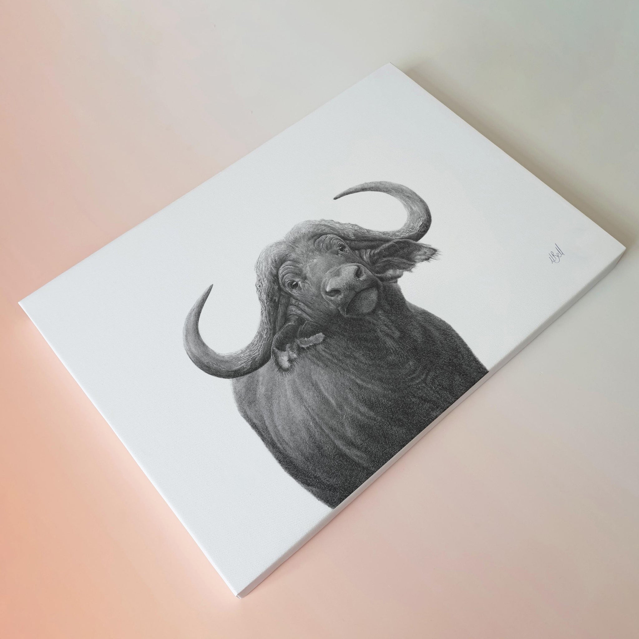 Artwork of a Buffalo Bull in pencil, on canvas by South African wildlife artist Matthew Bell