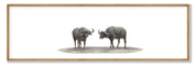 Buffalo Pair Panorama