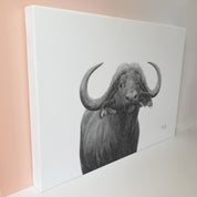 Artwork of a Buffalo Bull in pencil, on canvas by South African wildlife artist Matthew Bell