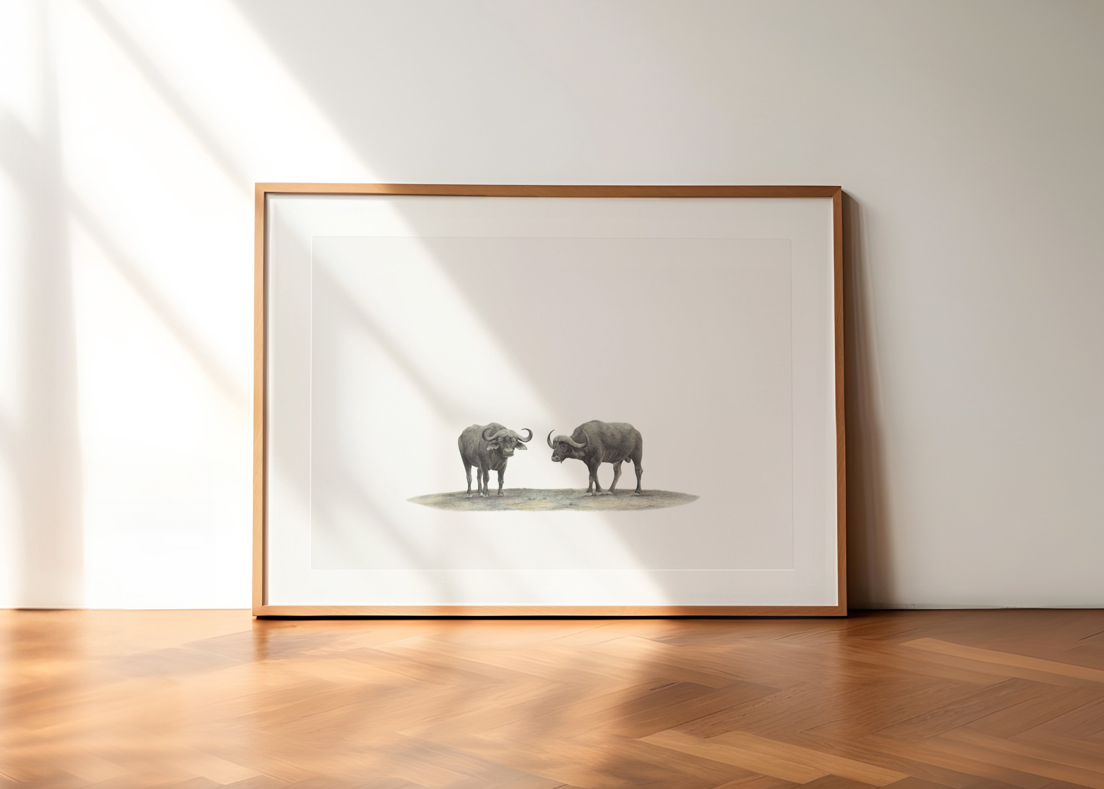 Buffaloes - The Original