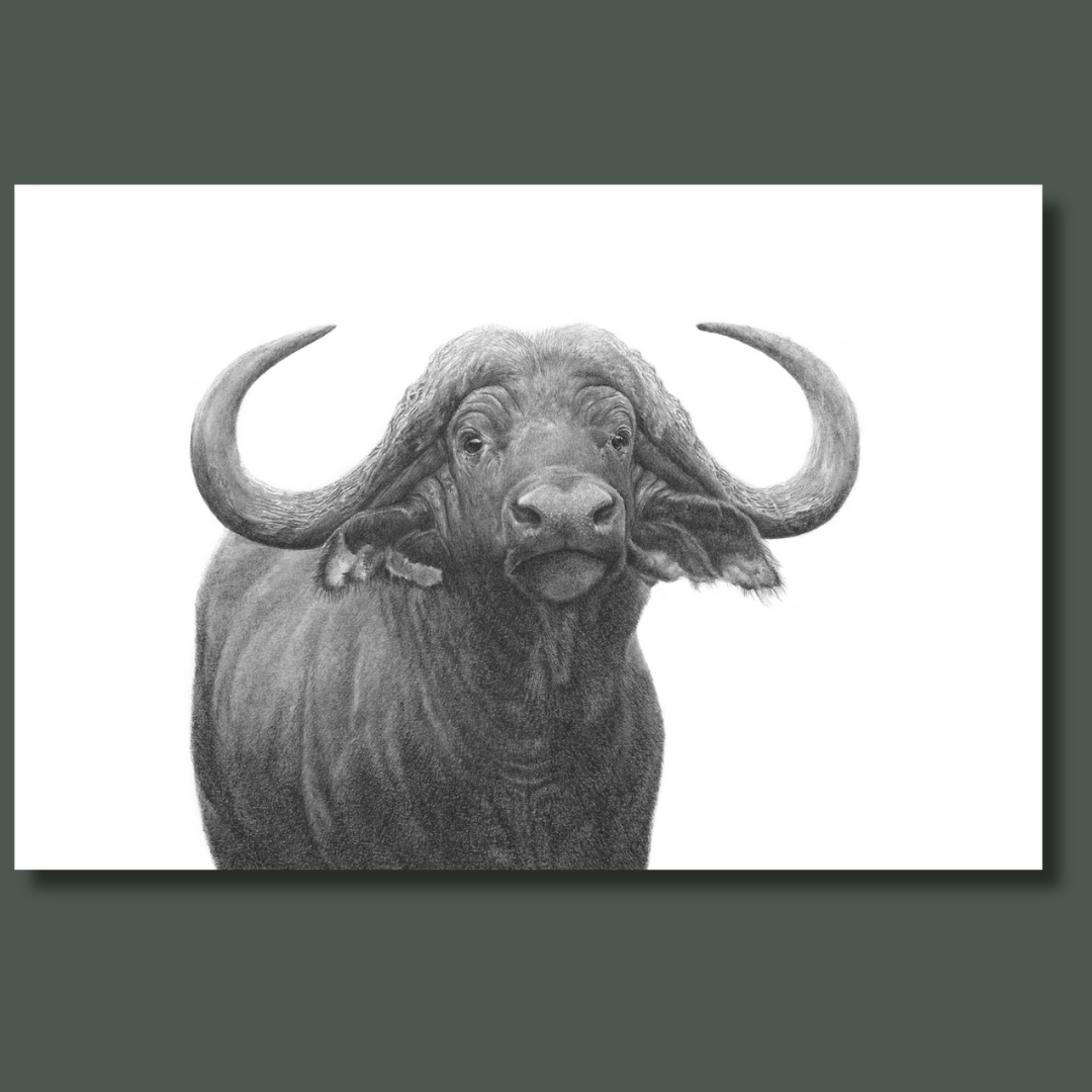 Buffalo Bull artwork on canvas