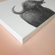 Artwork of a Buffalo Bull in pencil, on canvas by South African wildlife artist Matthew Bell