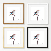 Brown Hooded Kingfisher - BHK
