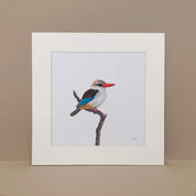 Brown Hooded Kingfisher South African bird art