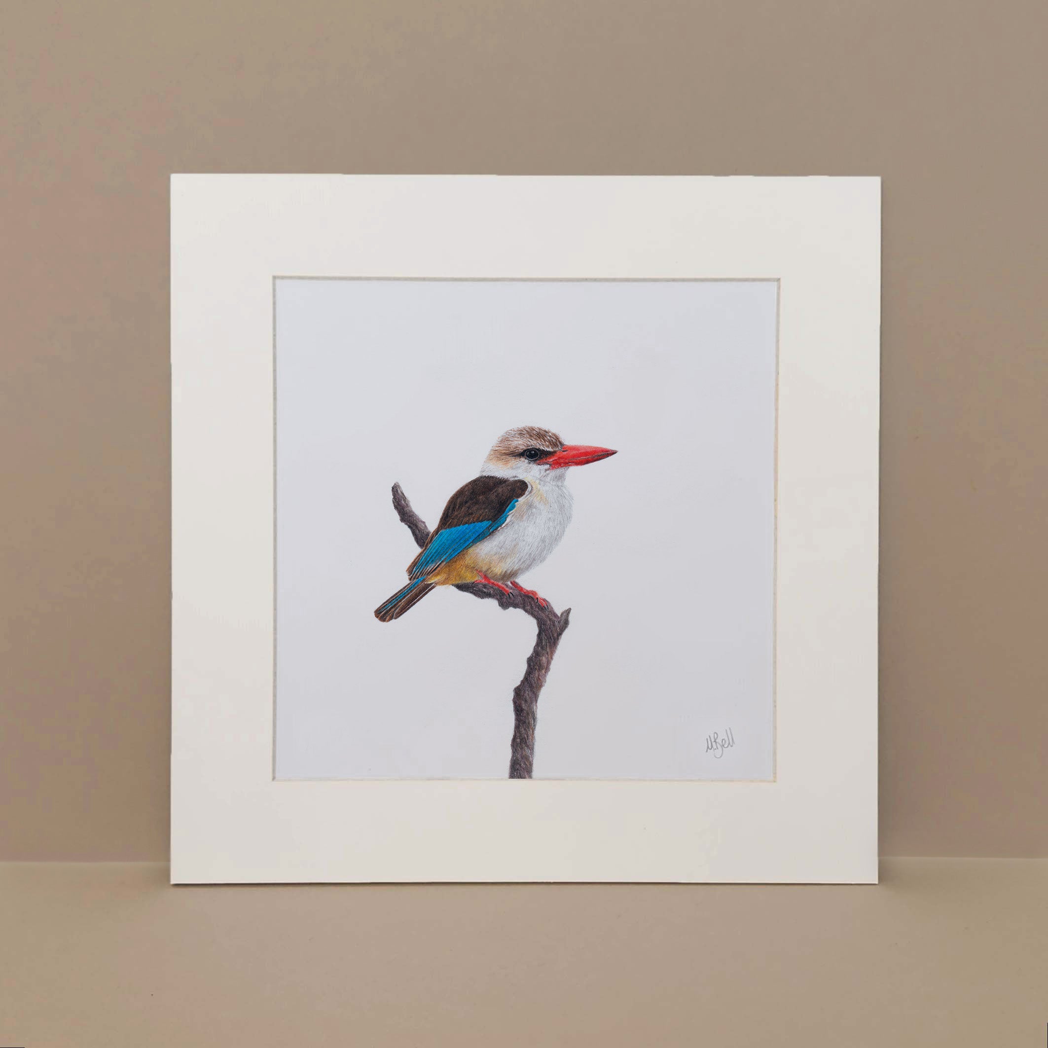 Brown Hooded Kingfisher South African bird art