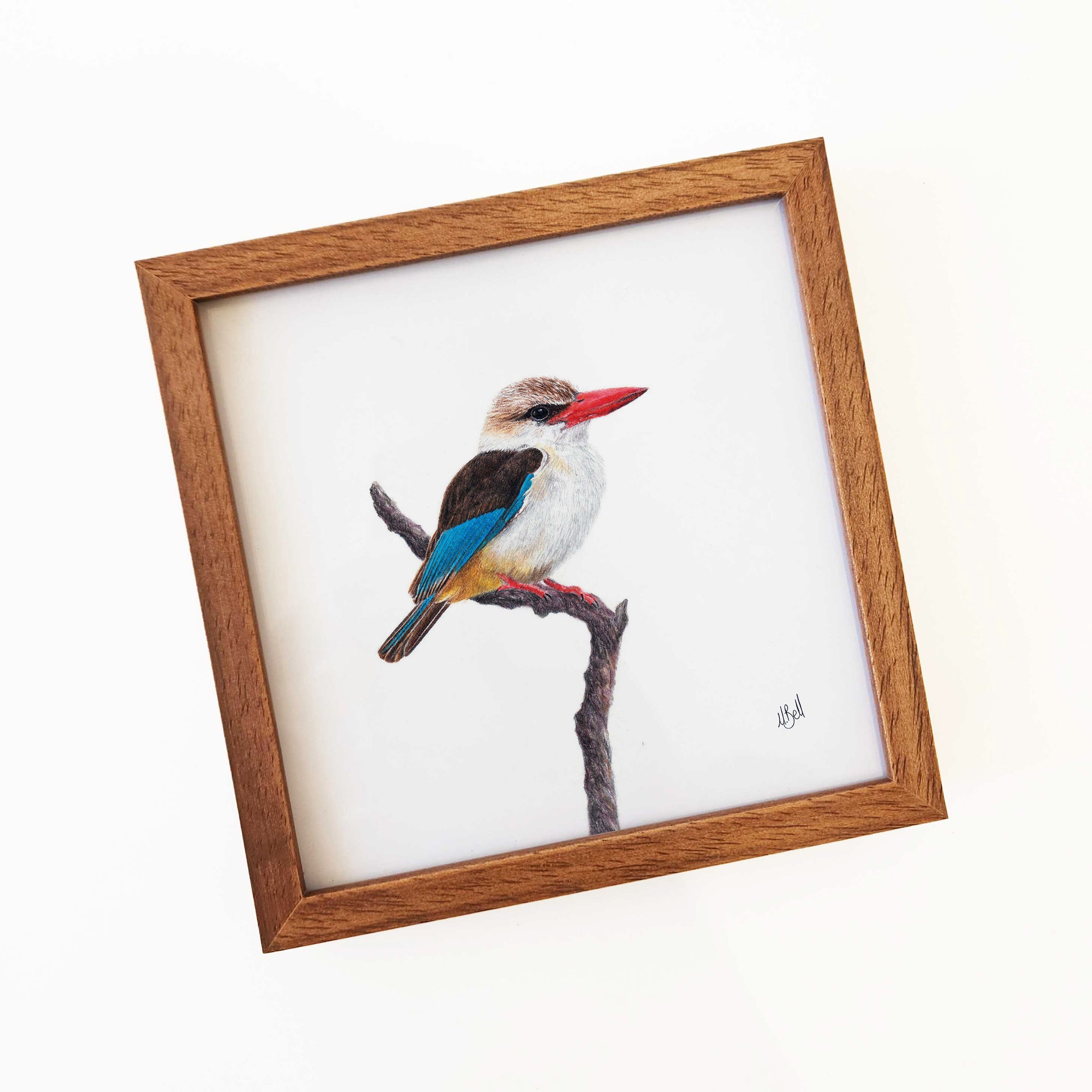 Kiaat wood framed miniature artwork of a Brown Hooded Kingfisher, part of wildlife artist Matthew Bell's birds of South Africa gallery