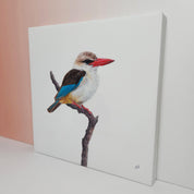 Stretched canvas South African bird artwork of a pair of a Brown Hooded Kingfisher