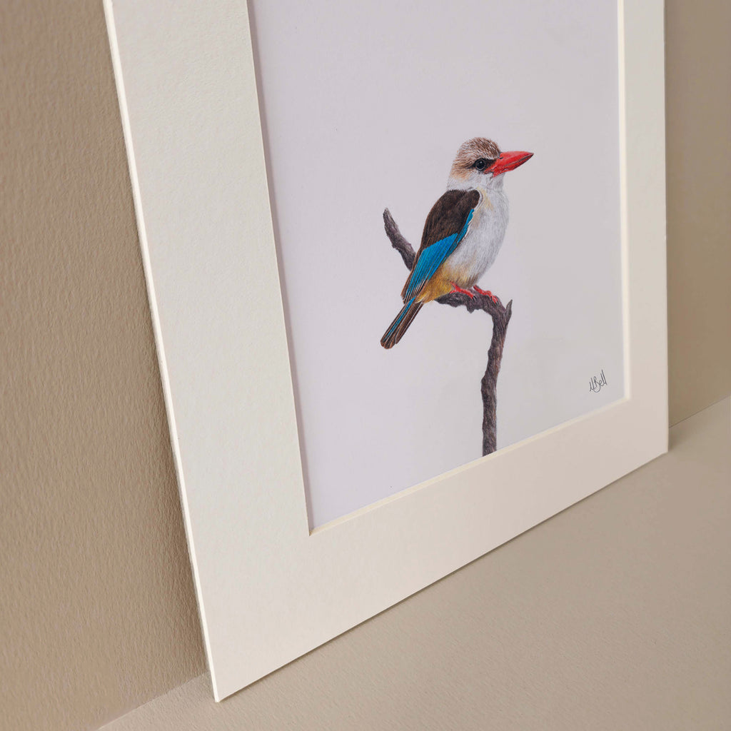 Brown Hooded Kingfisher South African bird art